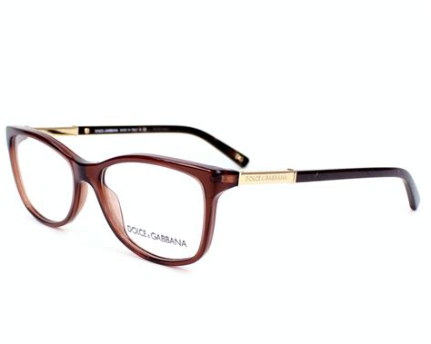 d&g brillenfassungen